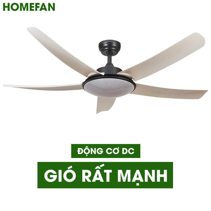 Quạt trần đèn hiện đại HL-FAN802T